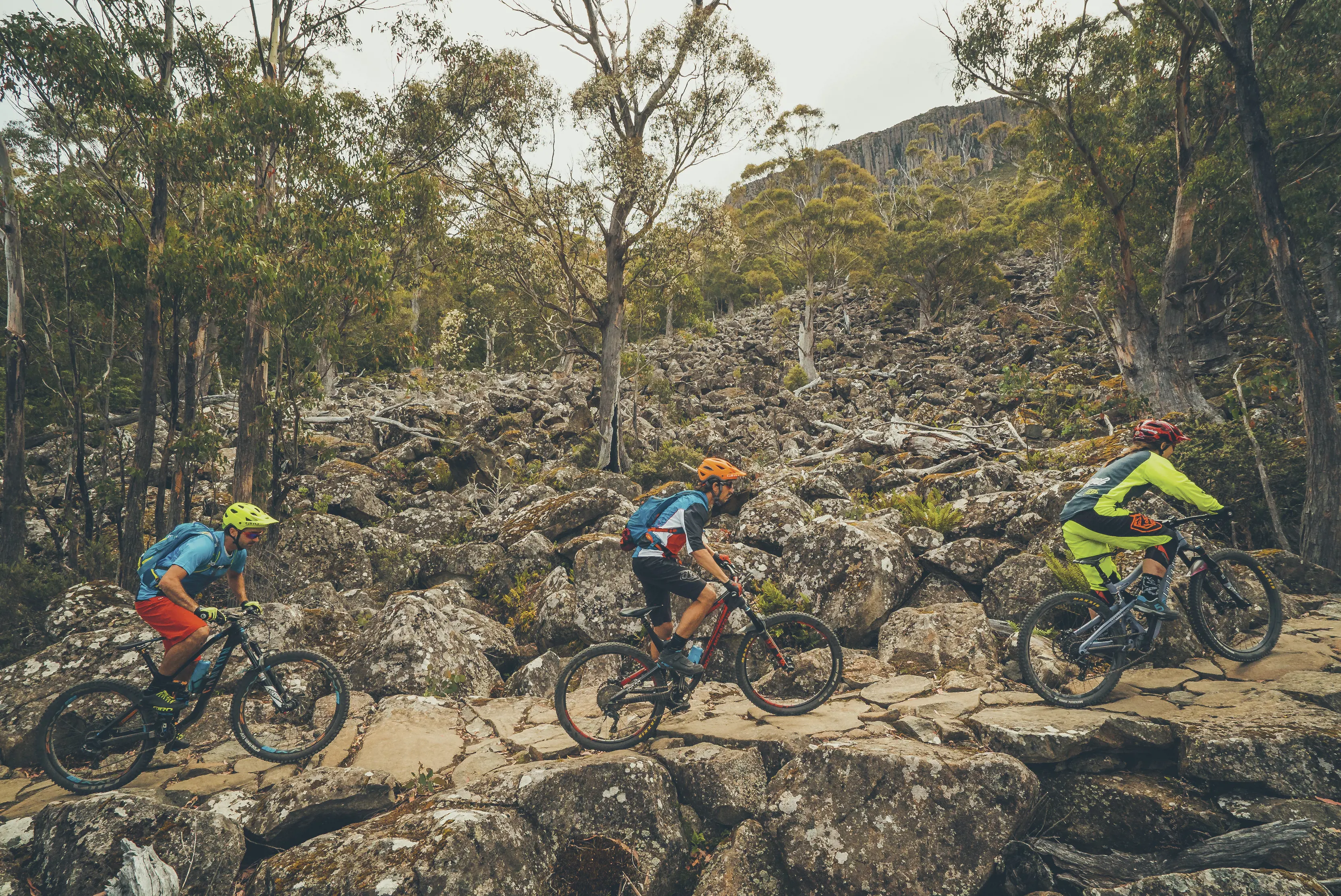 Three cyclists on the North South Track, Kunanyi / Mt Wellington